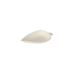 Product foto van Fingerfood schaaltjes suikerriet wit set van 50 Leaf