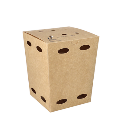 Product foto van Frietboxen karton bruin set van 100 NOTPLA