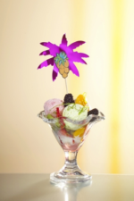 Product foto van Houten decoprikkers assorti kleuren Palm Leaf set van 50