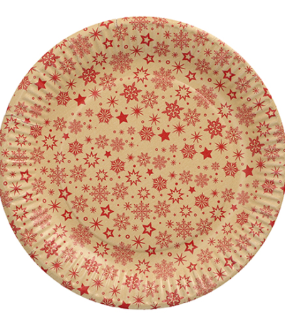 Product foto van Karton Borden rond 23cm set van 10 SnÃ¸flinga