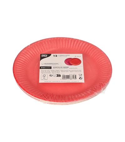 Product foto van Papieren borden karton rond assorti kleuren set van 12