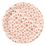 Product foto van Papieren borden karton wit set van 30 SnÃ¸flinga