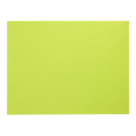Product foto van Papieren placemats lime set van 100