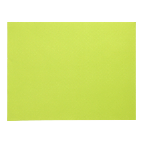 Product foto van Papieren placemats lime set van 100