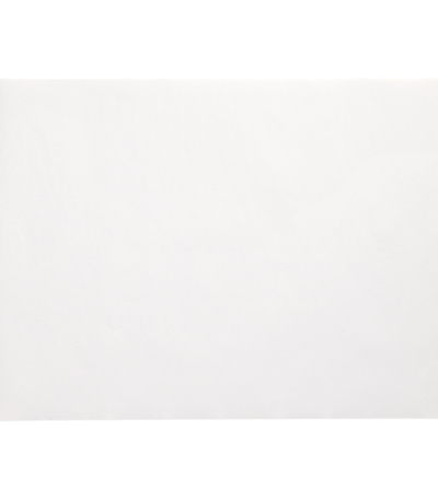 Product foto van Papieren placemats wit set van 250