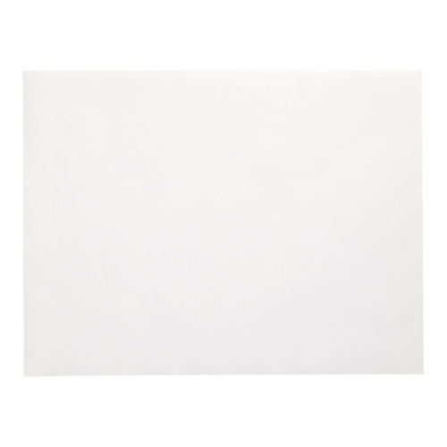 Product foto van Papieren placemats wit set van 250