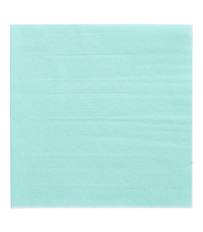 Product foto van Papieren servetten 1-laags muntgroen set van 100
