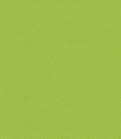 Product foto van Papieren servetten 2-laags lime set van 30 PUNTO