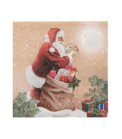 Product foto van Papieren servetten 3-laags 25x25cm Dans la Cheminee set van 20