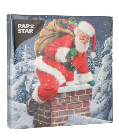 Product foto van Papieren servetten 3-laags 33x33 cm Down the Chimney set van 20