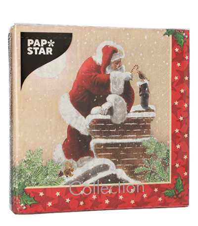 Product foto van Papieren servetten 3-laags 33x33cm Dans la Cheminee set van 20