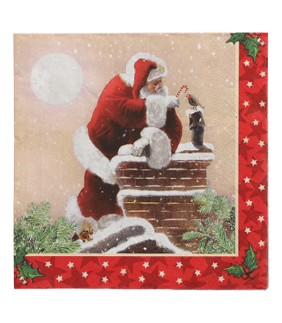 Product foto van Papieren servetten 3-laags 33x33cm Dans la Cheminee set van 20