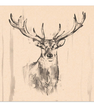 Product foto van Papieren servetten 3-laags Deer