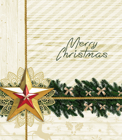 Product foto van Papieren servetten 3-laags Golden Star set van 50