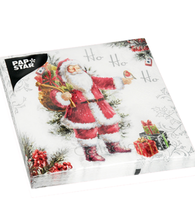 Product foto van Papieren servetten 3-laags HoHoHo set van 20