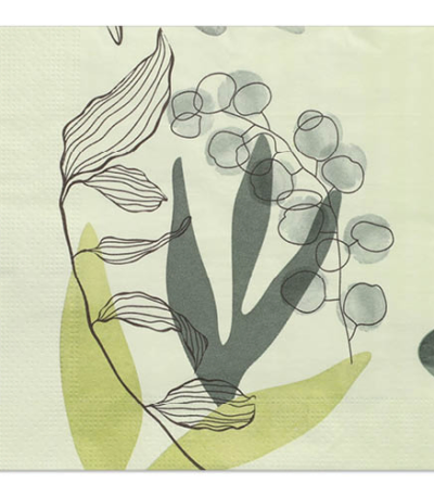 Product foto van Papieren servetten 3-laags Nature 20 stuks