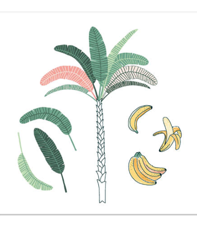 Product foto van Papieren servetten 3-laags Palm and Bananas 20 stuks