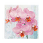 Product foto van Papieren servetten 3-laags Phalaenopsis set van 20