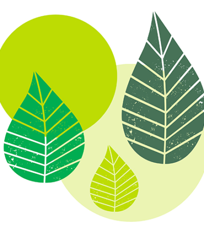 Product foto van Papieren servetten 3-laags groen set van 20 Graphic Leaves