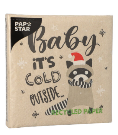 Product foto van Papieren servetten 3-laags natuur It's cold outside set van 20