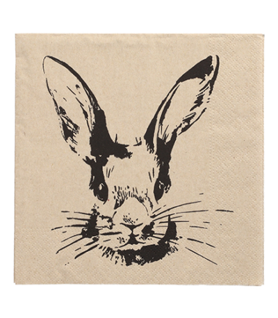Product foto van Papieren servetten 3-laags natuur My Name is Rabbit set van 20