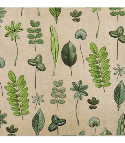 Product foto van Papieren servetten 3-laags wit set van 20 Botanical Fantasy