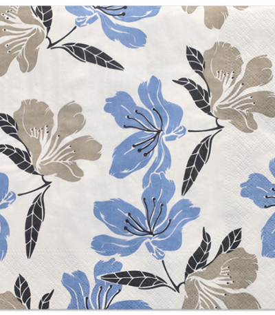 Product foto van Papieren servetten Elegance 40x40cm set van 20