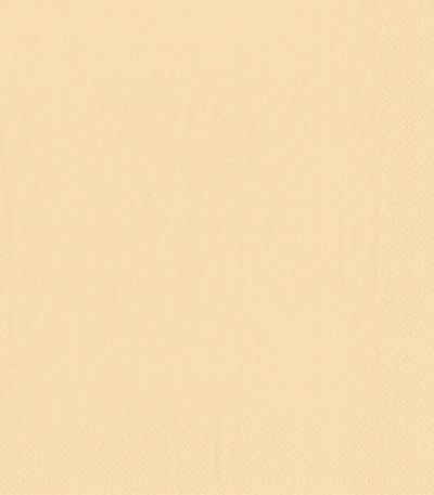 Product foto van Papieren servetten creme 2-laags set van 50