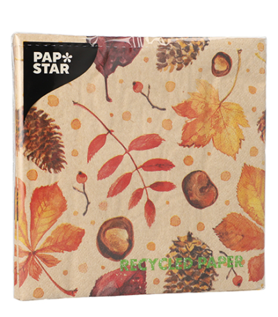 Product foto van Papieren servetten natuur 33cm x 33cm set van 20 HÃ¶stliv