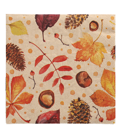 Product foto van Papieren servetten natuur 33cm x 33cm set van 20 HÃ¶stliv