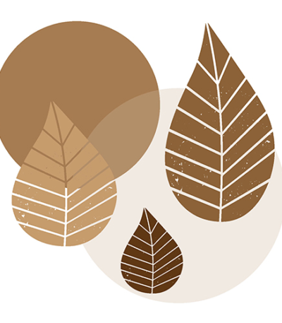 Product foto van Papieren servetten natuur Graphic Leaves set van 20