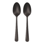 Product foto van Plastic Lepels Zwart set van 100 Haval Gaia extra stevig