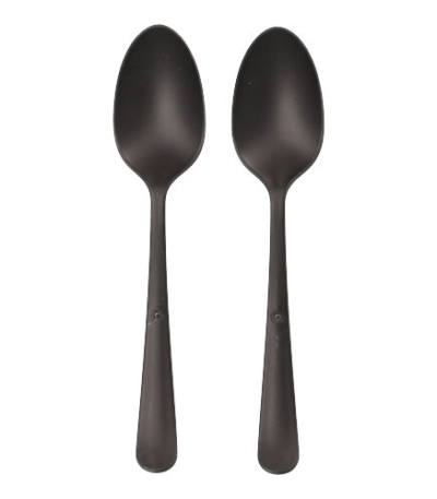 Product foto van Plastic Lepels Zwart set van 100 Haval Gaia extra stevig