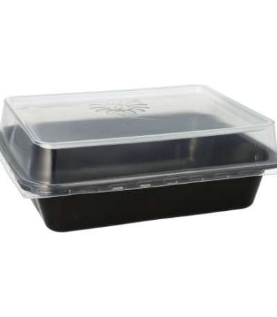 Product foto van Plastic borden zwart 20 stuks 23x18cm