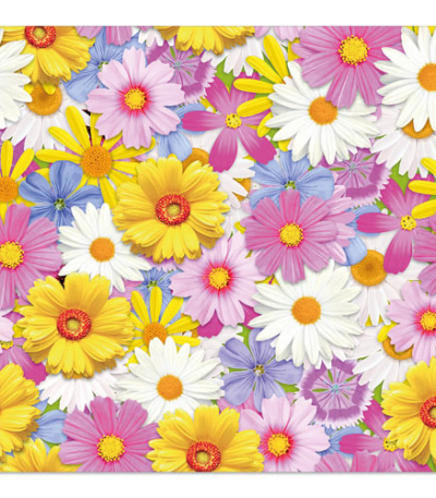 Product foto van Servetten 3-laags 33x33 cm Daisies Mix set van 20