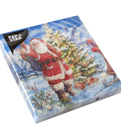 Product foto van Servetten 3-laags Tomten set van 20