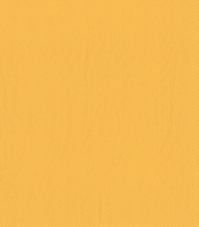 Product foto van Servetten geel 2-laags set van 50