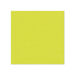 Product foto van Servetten lime set van 20 ROYAL Collection