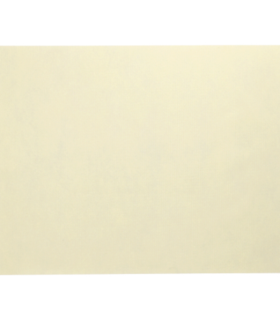 Product foto van Stof Placemats nonwoven creme set van 100 Soft Selection