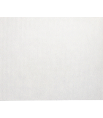 Product foto van Stof Placemats nonwoven wit 30x40cm set van 100 Soft Selection