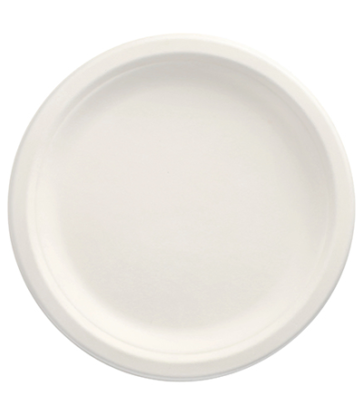 Product foto van Suikerriet Borden karton wit set van 100