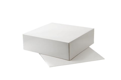 Product foto van Duplex doos 250x250x80mm wit