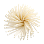 Product foto van 100 Drinkrietjes