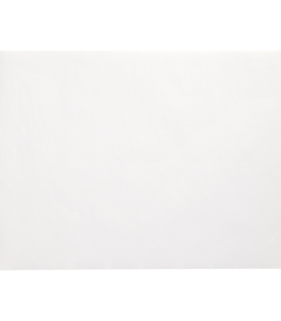 Product foto van 250 Placemats