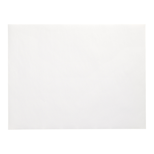 250 Placemats Product foto van 250 Placemats