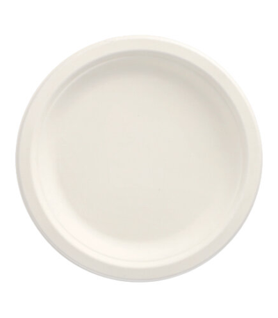 Product foto van 50 Borden van suikerriet "pure" 1-vaks Ø 18 cm · 2 cm wit