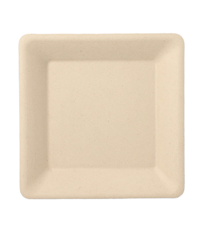 Product foto van 50 Borden van suikerriet "pure" hoekig 15