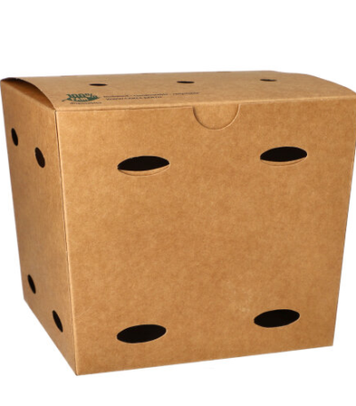 Product foto van 50 Friet boxen
