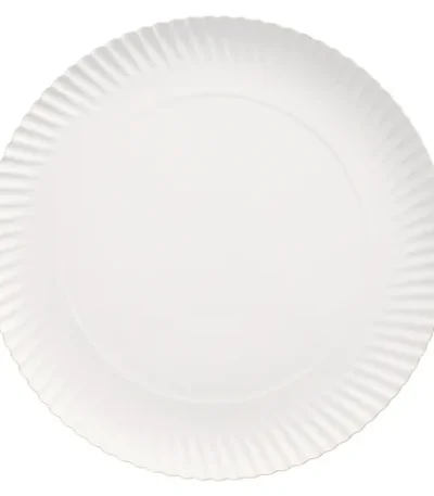 Product foto van Borden karton rond wit set van 100 Ø 29cm 2cm Pure