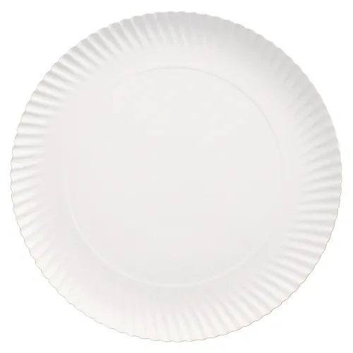 Product foto van Borden karton rond wit set van 100 Ø 29cm 2cm Pure